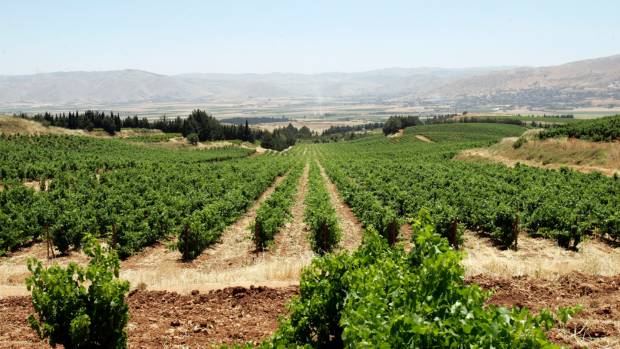 Kefraya winery hotsell